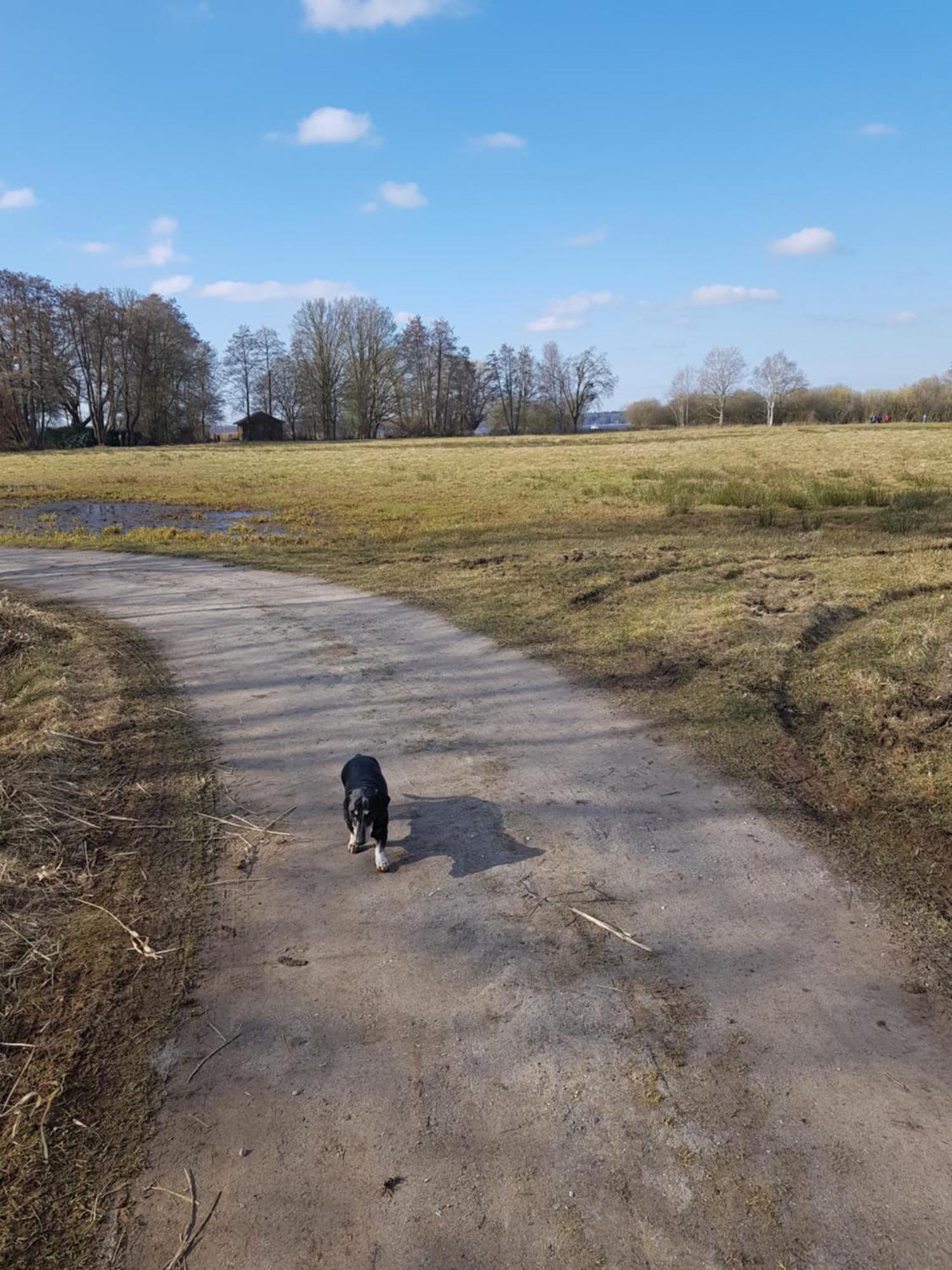 Wohlfuehloase Am Bad Zwischenahner Meer Exterior foto